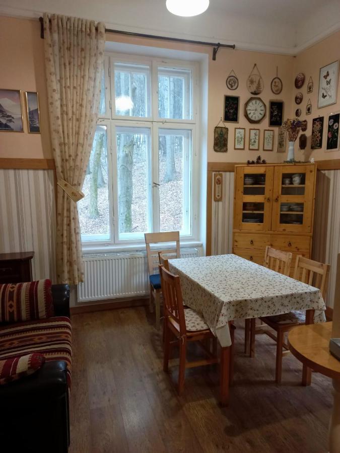 Dream For A With A Bedroom And Living Room! Apartment