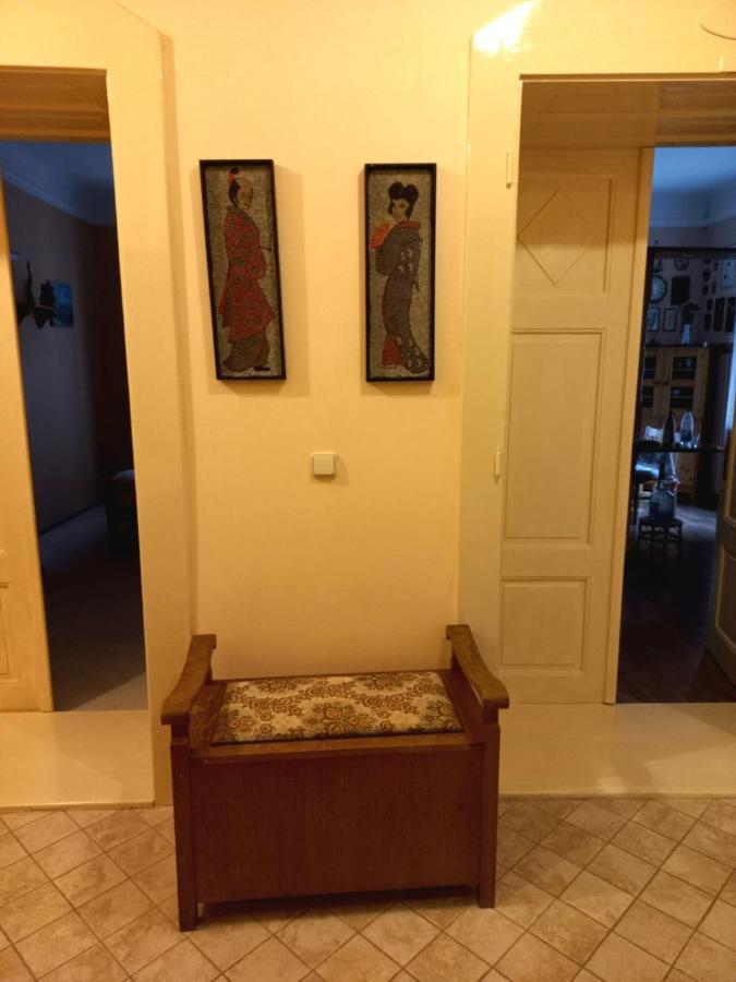 Dream For A With A Bedroom And Living Room!